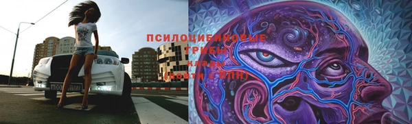 прущая мука Арсеньев