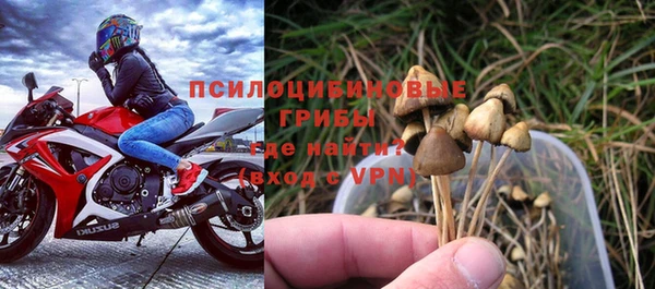 прущая мука Арсеньев