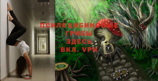 эйфоретик Аркадак