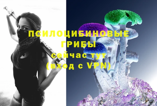 прущая мука Арсеньев