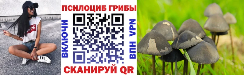 Галлюциногенные грибы Magic Shrooms  Шацк 